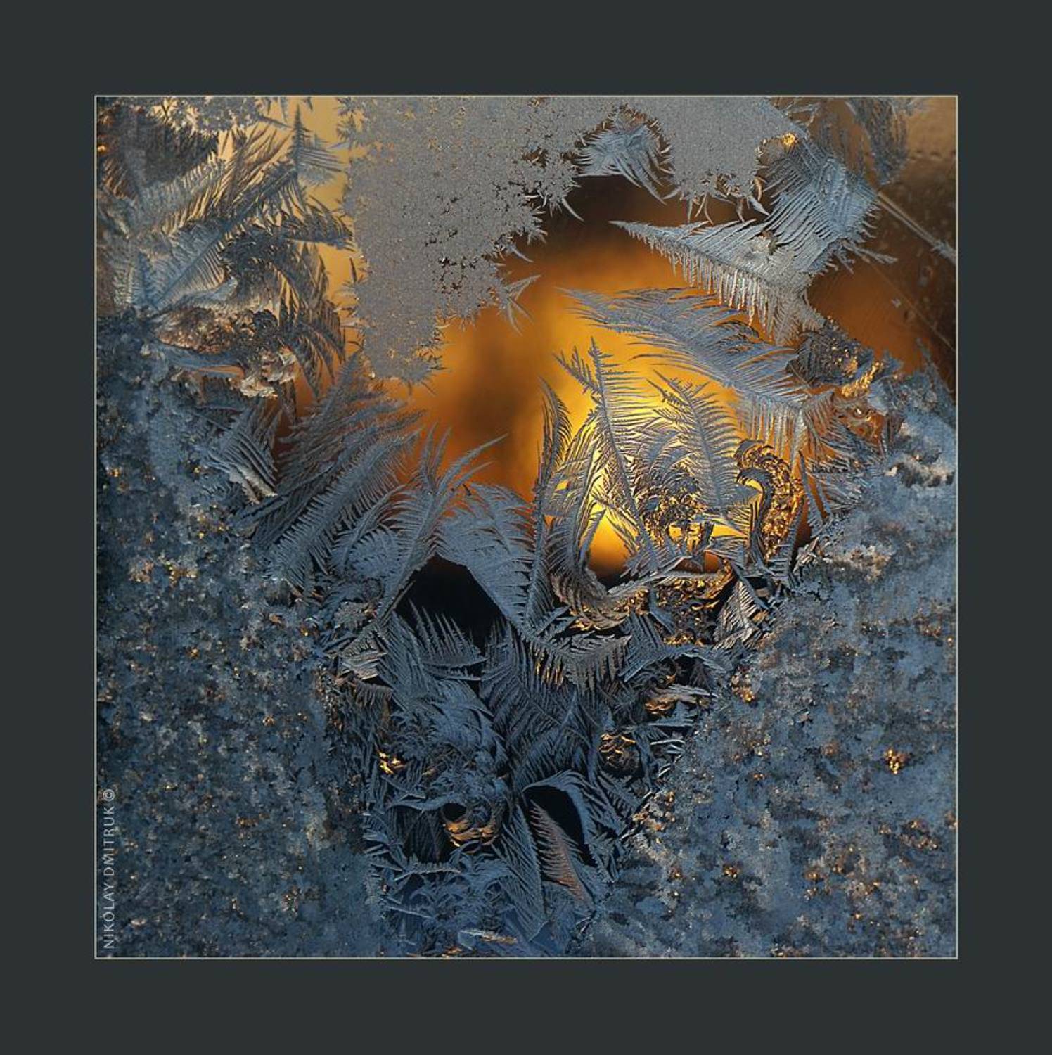 природа, минимализм, мороз, музыка, николай дмитрук