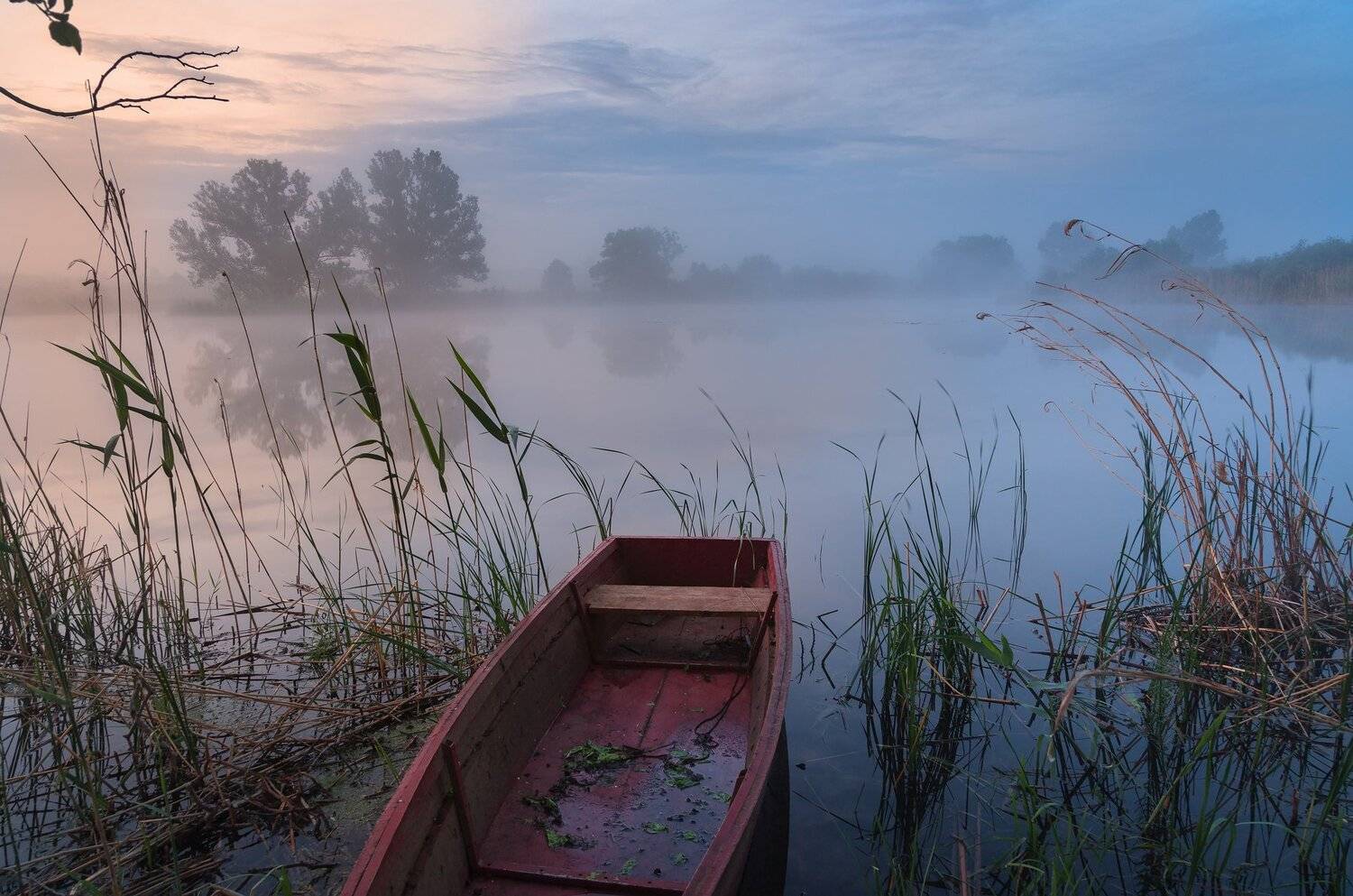 , Александр Бредихин