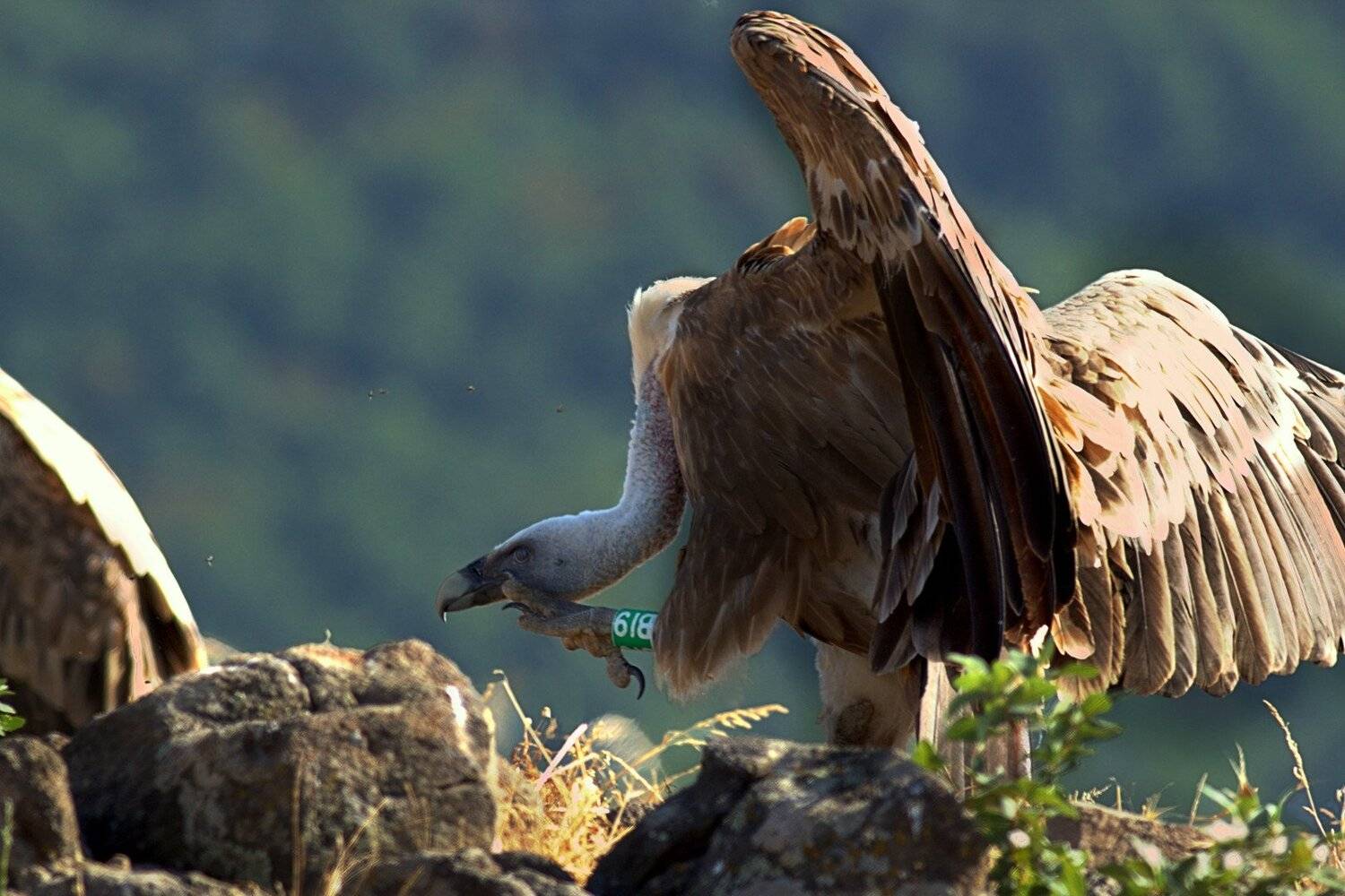 , Георги Славов