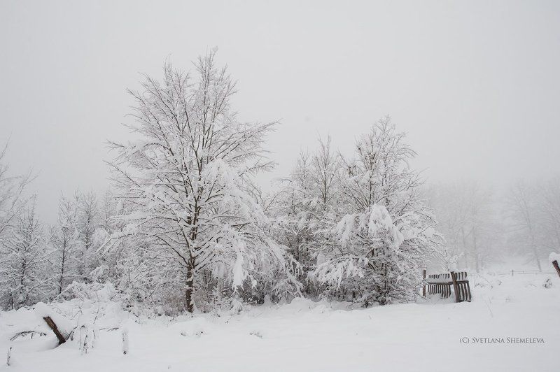 Зимняя фото превью
