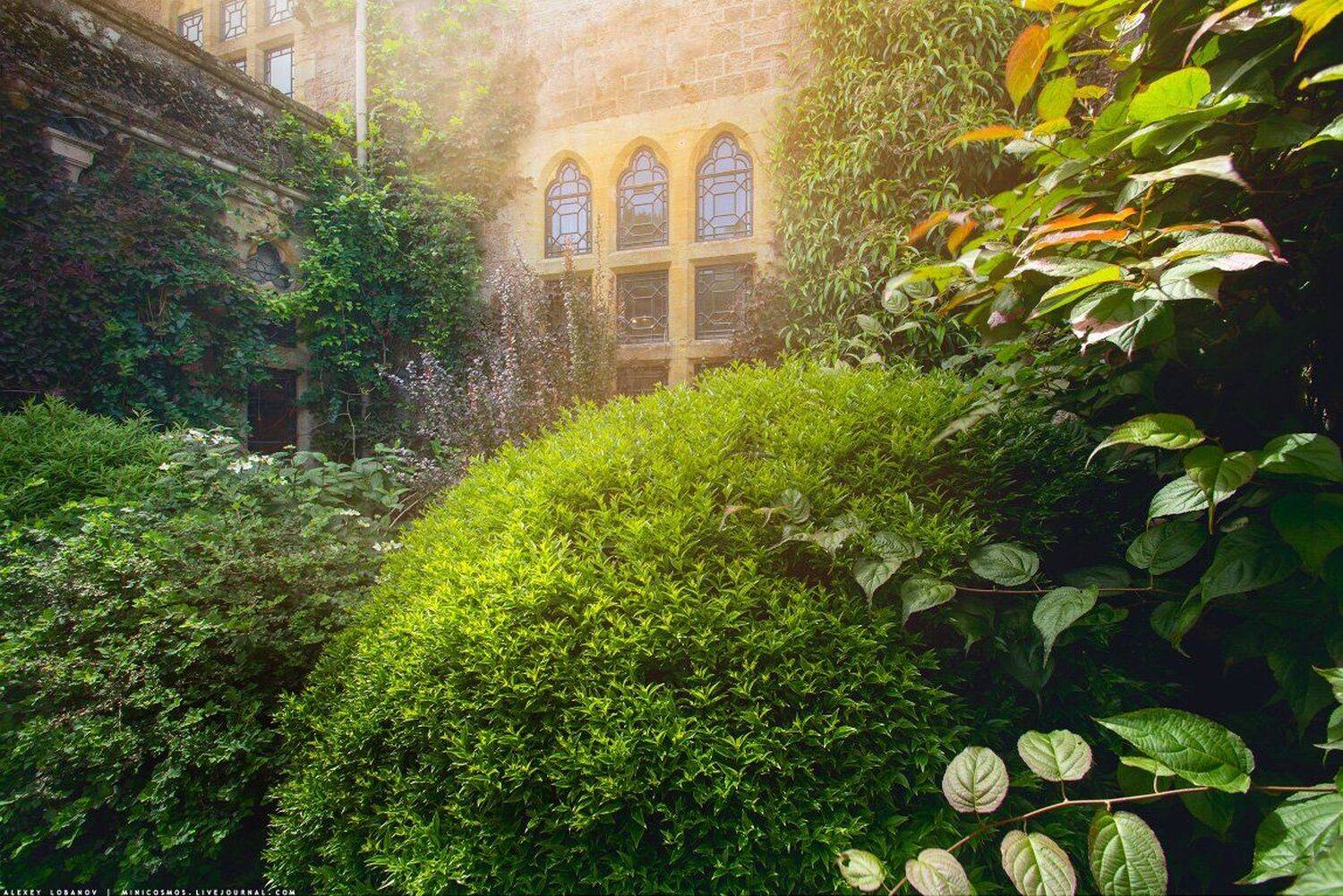 devon, Алексей Лобанов