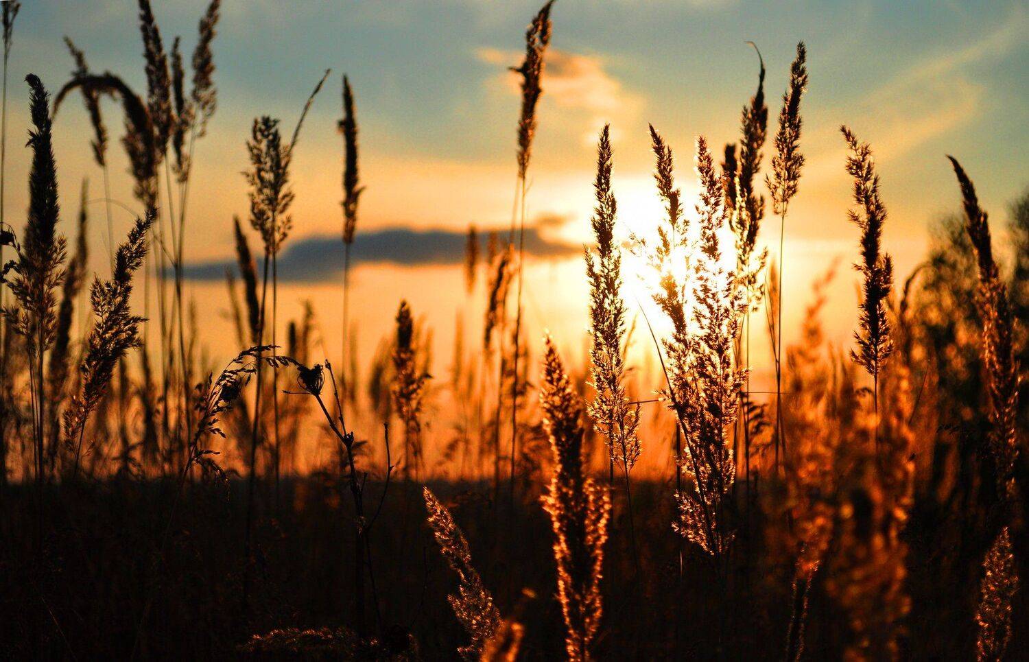 закат, Россия, Ярославль, Матвеев Евгений
