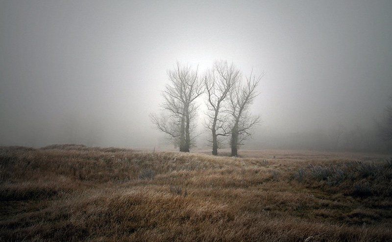 ... фото превью