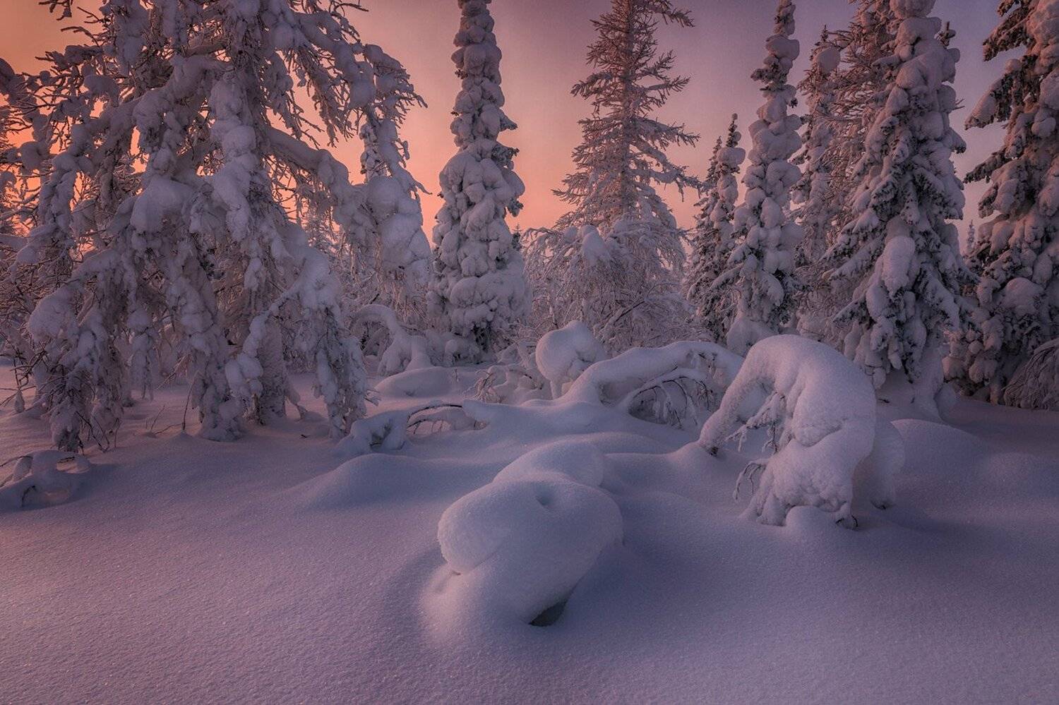 , Евгений Кужилев