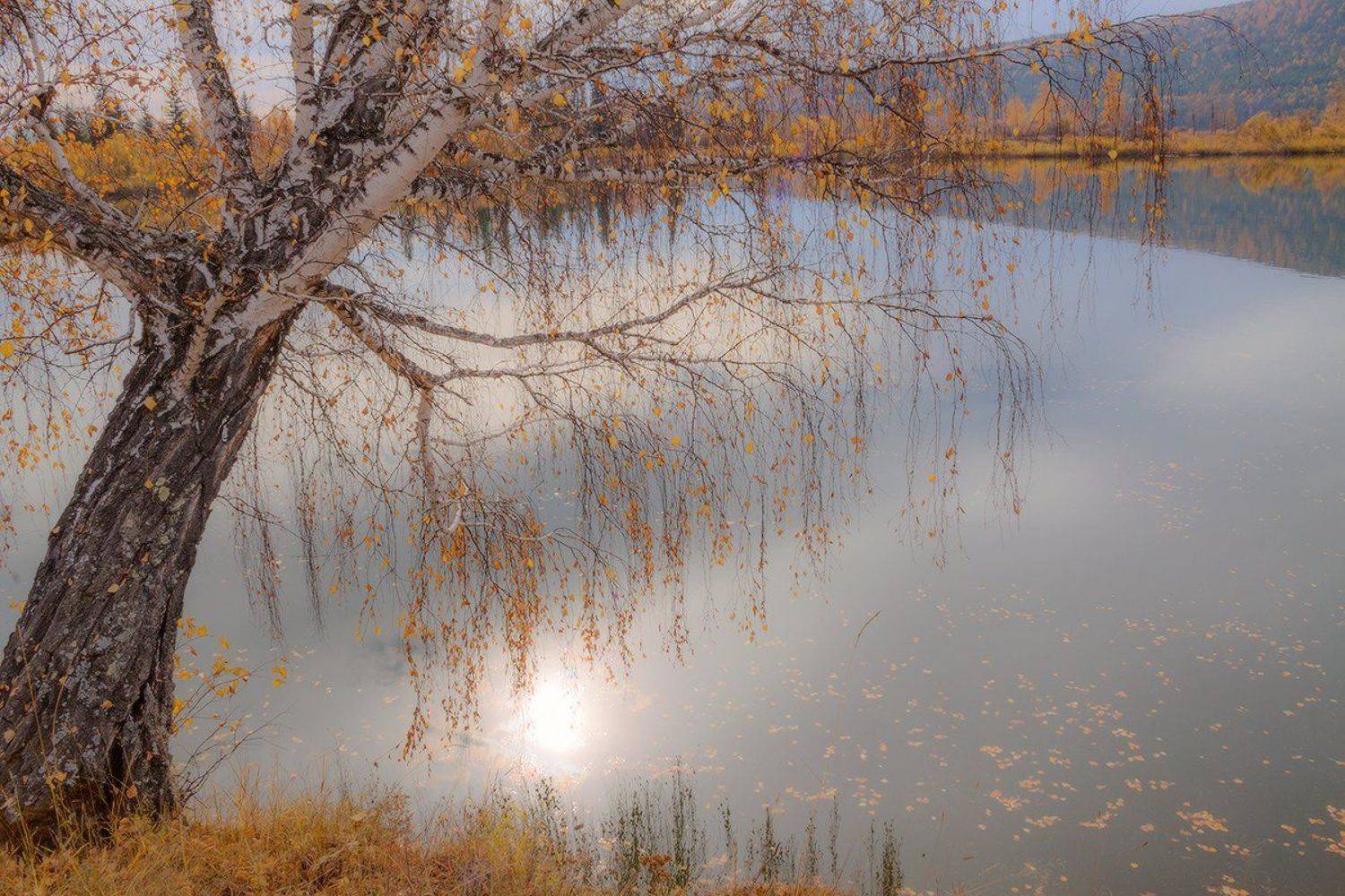 , Николай Морский