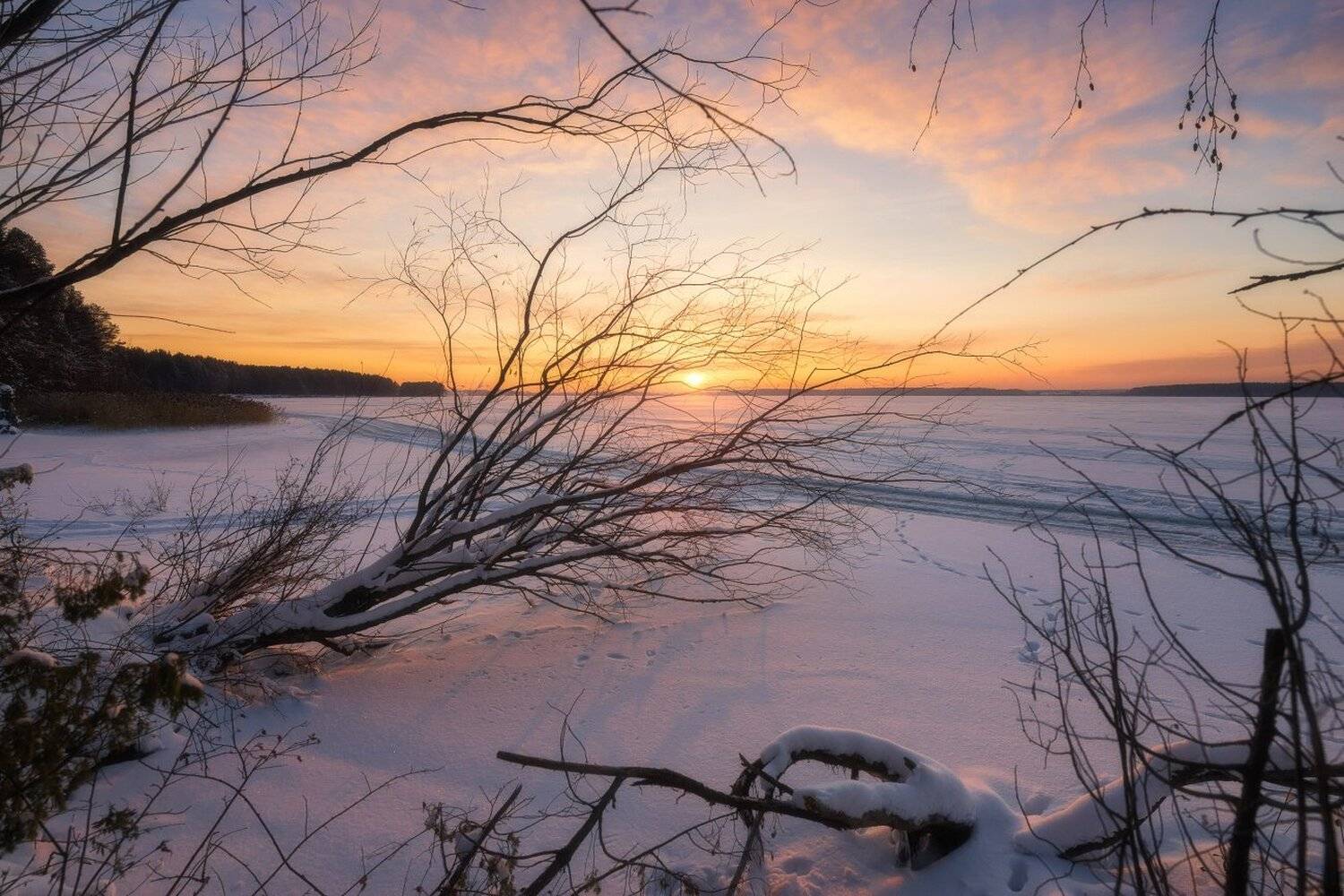 , Устюжанин Михаил
