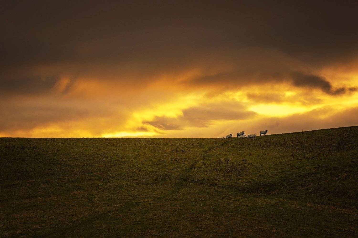 , Рашид Хайданов
