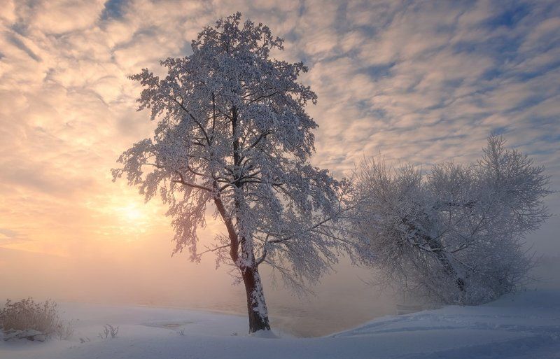 Зимнее озеро фото превью