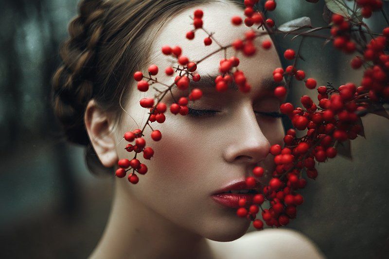 Красная ягода фото превью