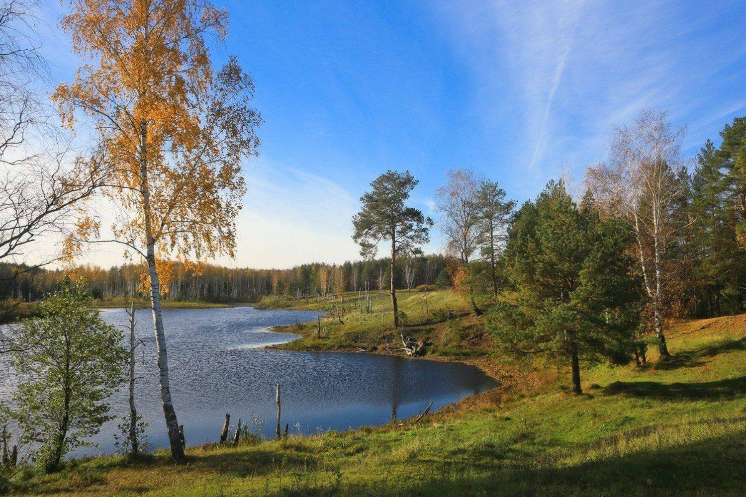 саврасово, Дмитрий Алексеев