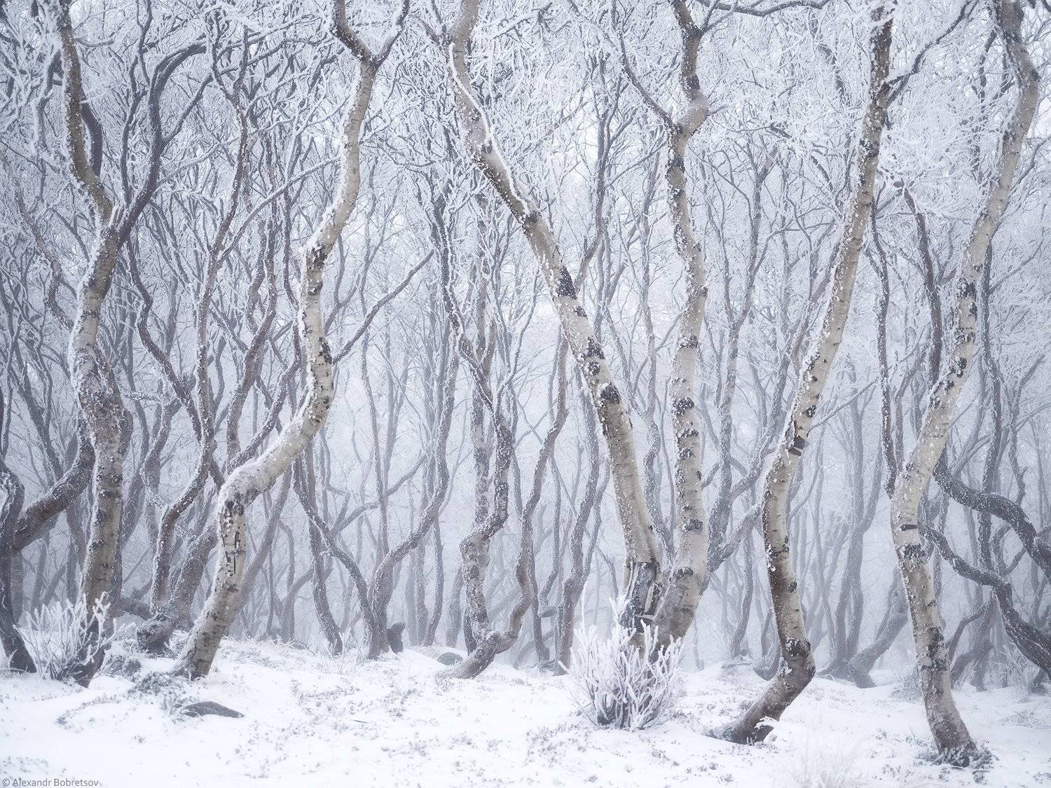 , Александр Бобрецов