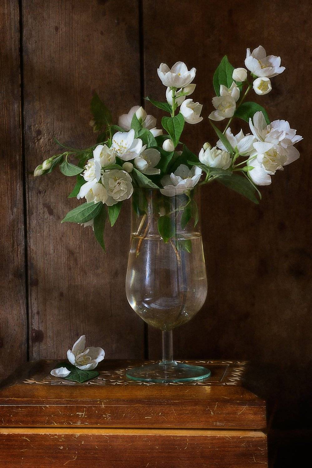 Цветочный, натюрморт, простой, букет, белый, жасмин, стакан, деревянный, дневной, свет, лето, деревня, Николай Панов