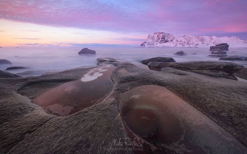 Arctic Avocado
