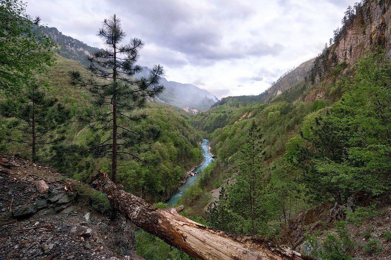 Черногория, река, ущелье, обрыв, Тара, каньон Каньон реки Тара фото превью