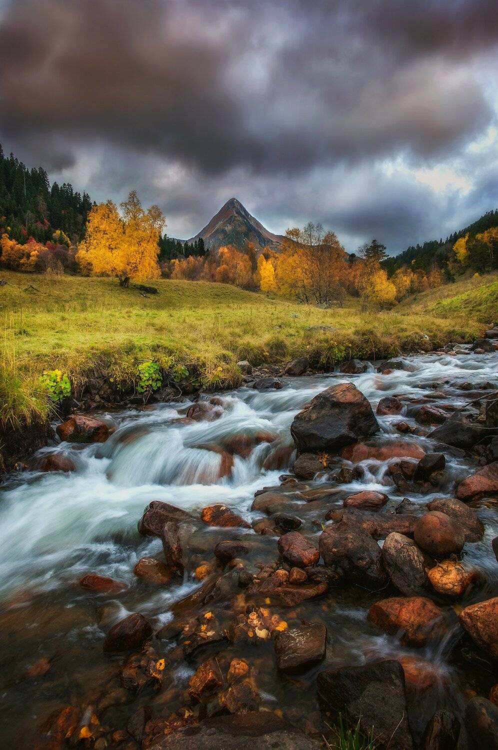 , Алексей Дранговский