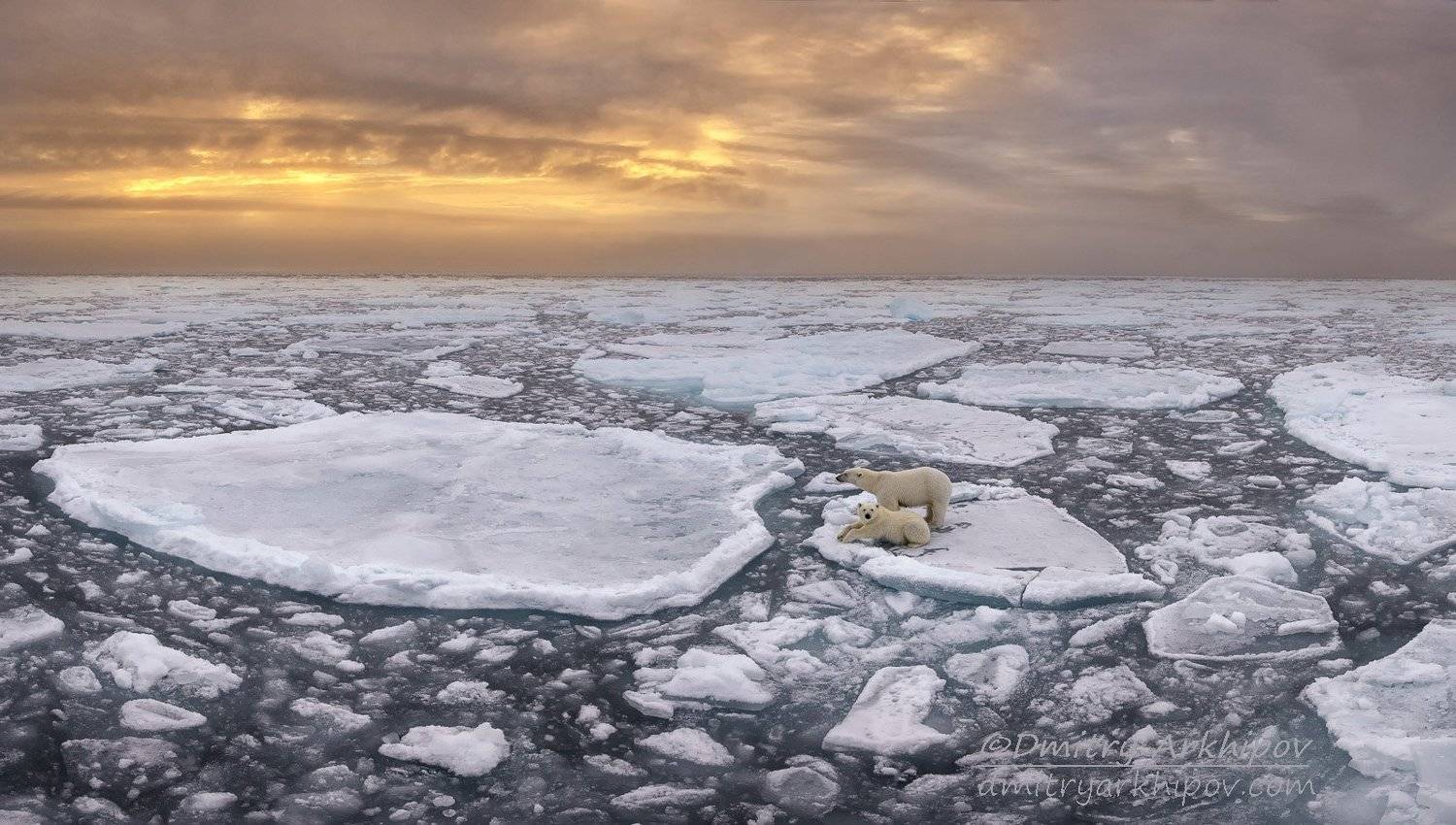 , Дмитрий Архипов