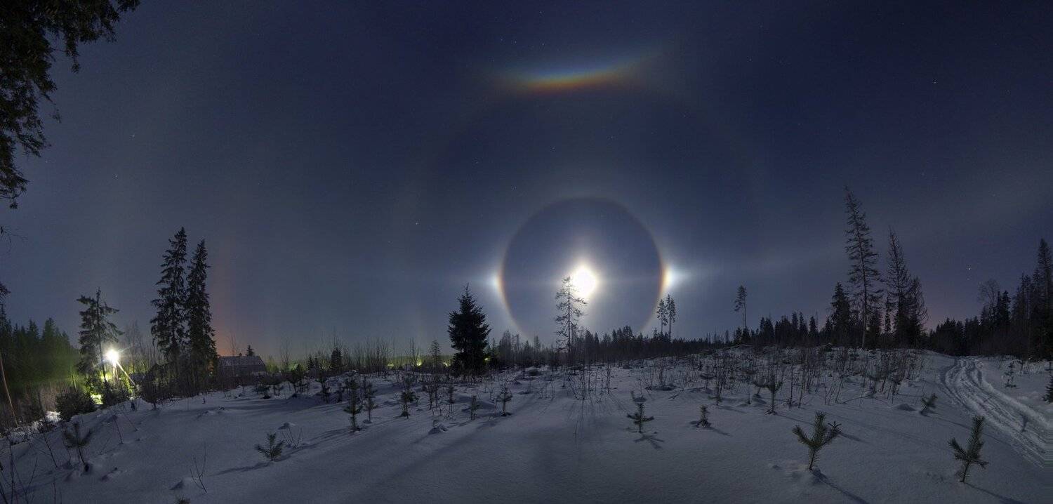 гало, Михаил Рева