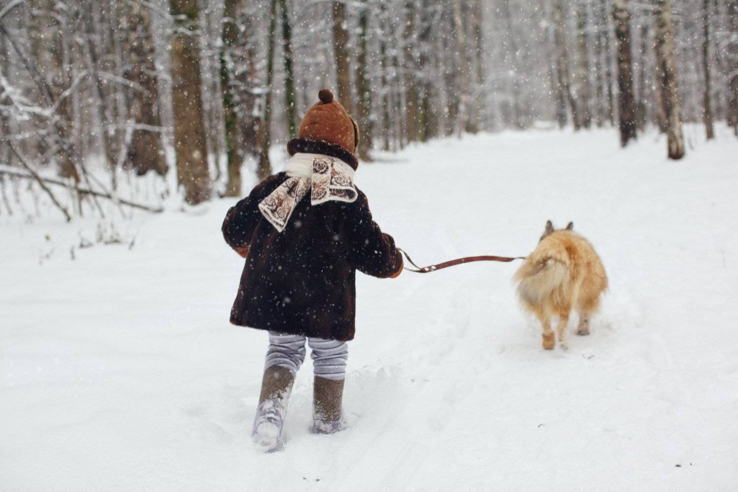 , Коровина Елена