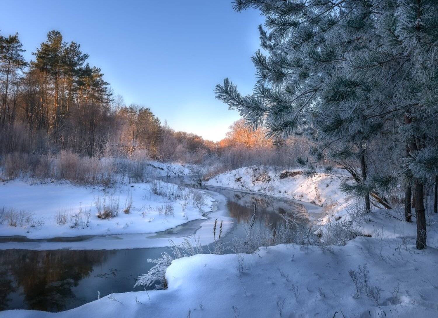пейзаж,природа,утро,рассвет,лес,сосны,сосновый бор,россия,деревья,зима,иней,красота,река,лед, Юлия Лаптева
