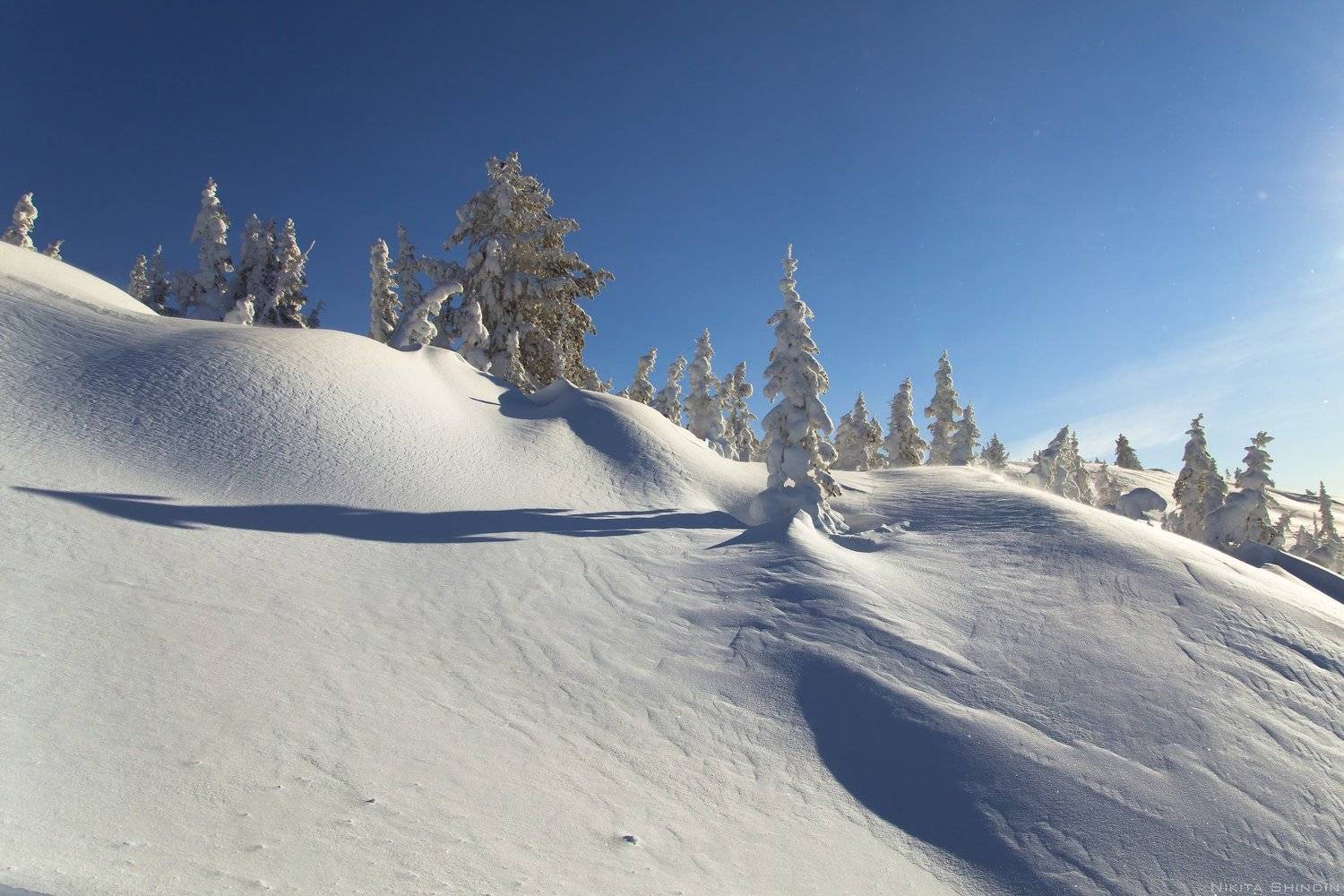 , Никита Шиндин