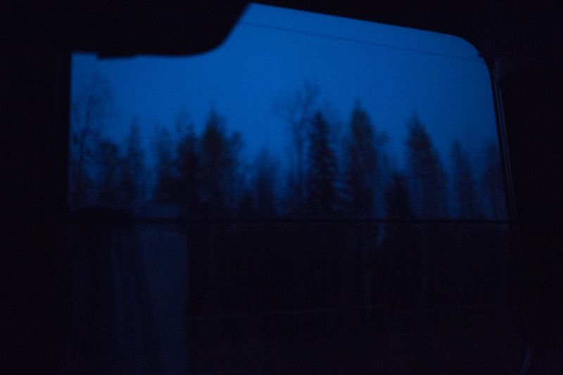 Романтика леса из едущего поезда фото превью