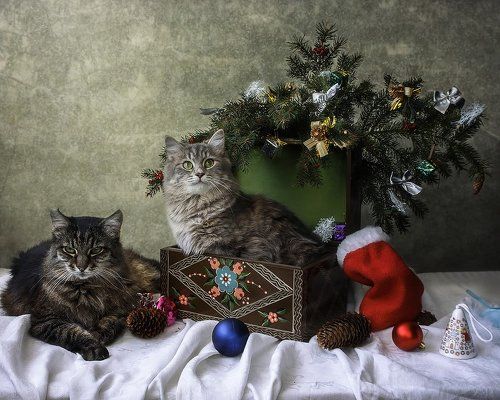 Генеральная репетиция Нового года