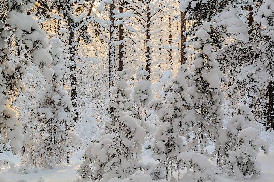 , Бурлов Андрей