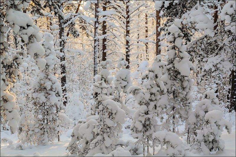 Завалило) фото превью