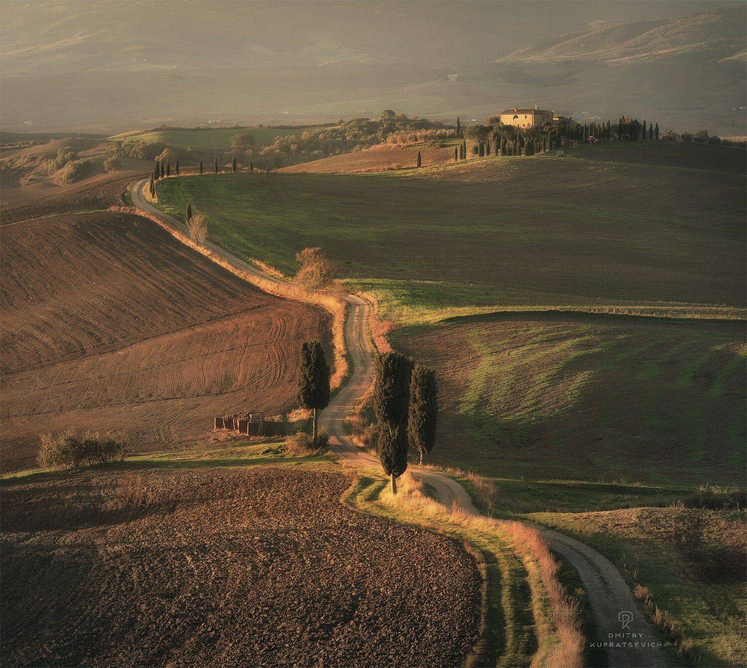 , Дмитрий Купрацевич