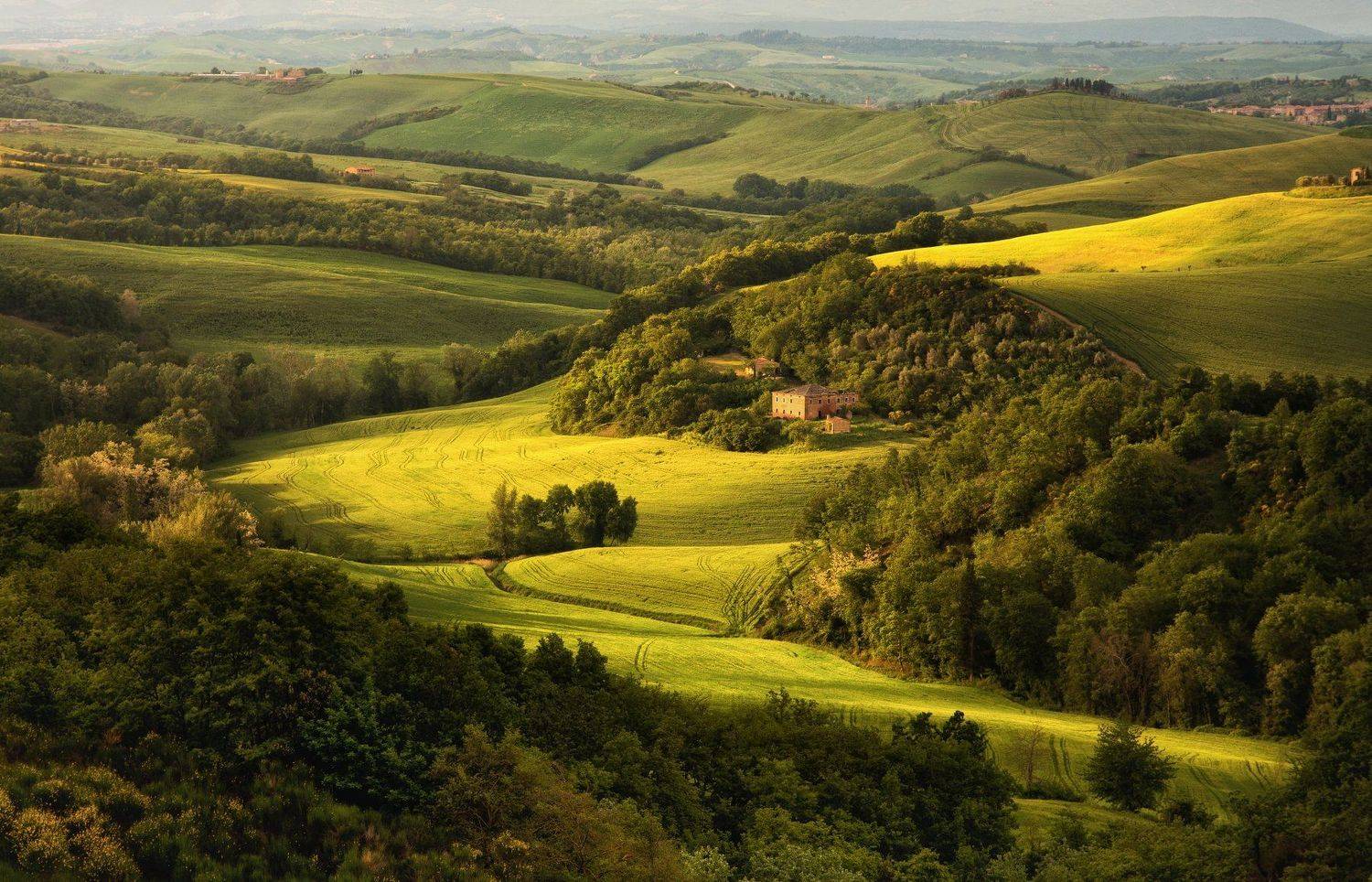 , Сергей Давыдов