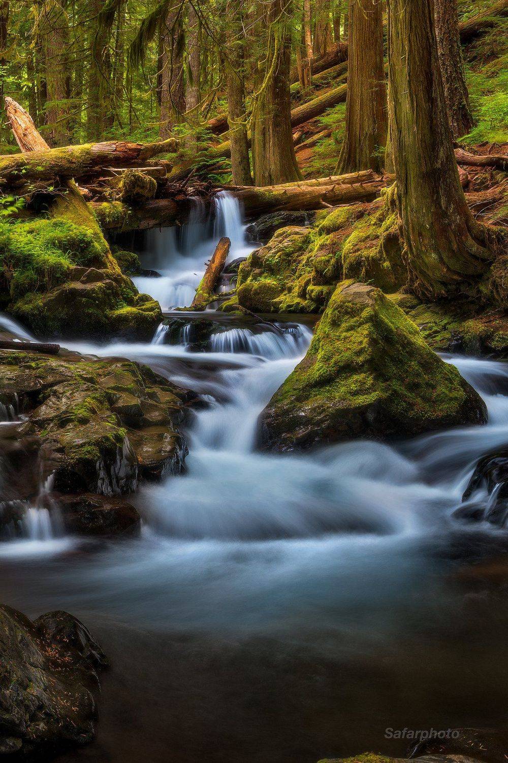 , Бахышев Сафар