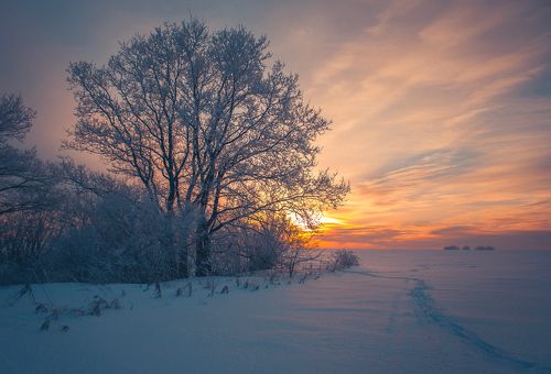 Зимняя безмятежность