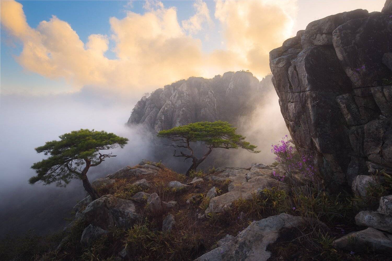 korea, Nathaniel Merz