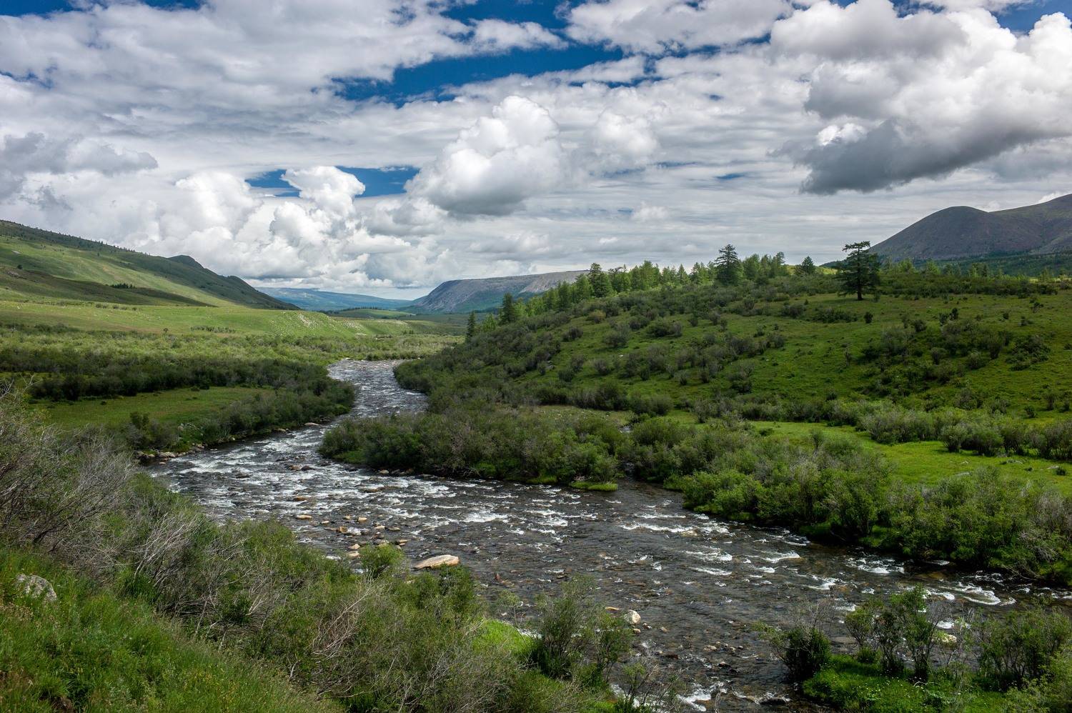 , Михаил Дронов