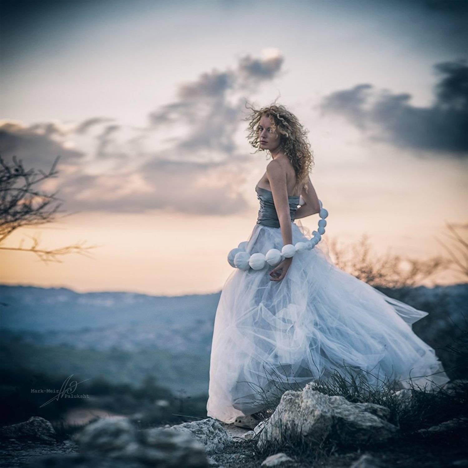 , Mark-Meir Paluksht