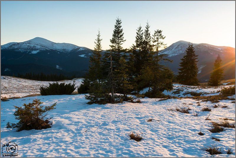 украина,карпаты, горы, кукул, черногора, закат, зима, говерла, петрос, Черногорские вершины фото превью