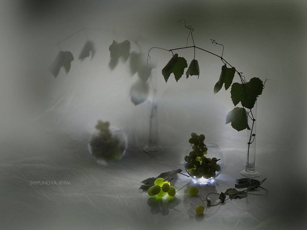 виноград листья лоза стекло , Шипунова Ирина