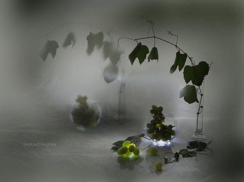 Виноградная пора фото превью