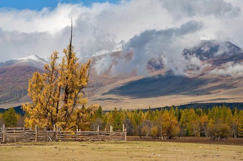 Pro облачные этюды Курайской степи