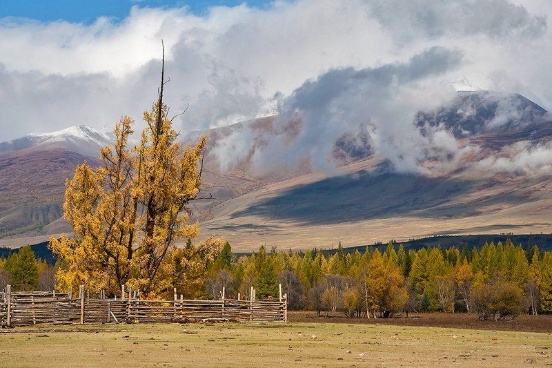 осень, облака, свет, тени, радуга, курайская степь, курайский хребет, горный алтай Pro облачные этюды Курайской степи фото превью