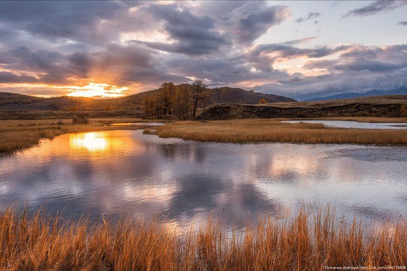 на болотах фото превью