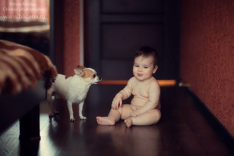 Дружба. фото превью