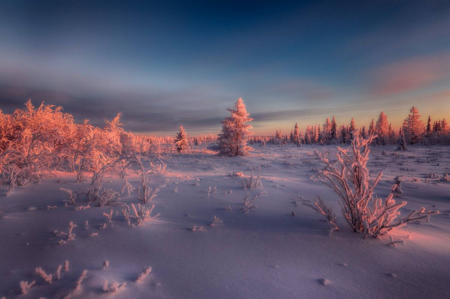 , Евгений Кужилев