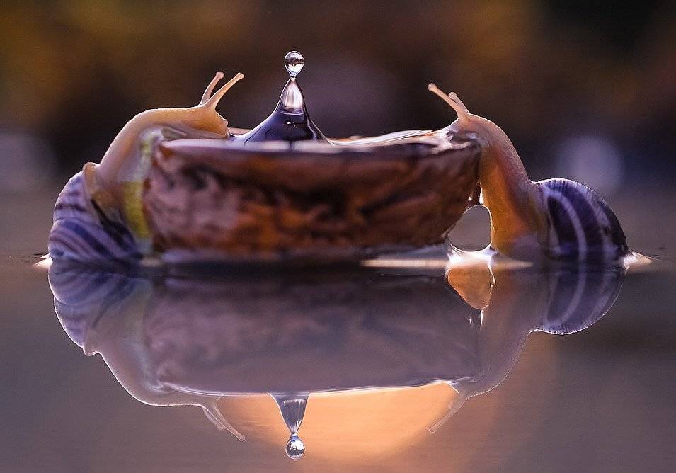 , Вячеслав Мищенко