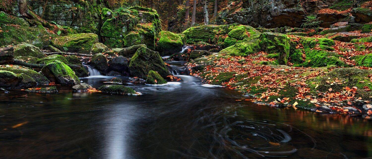 , Эдуард Горобец