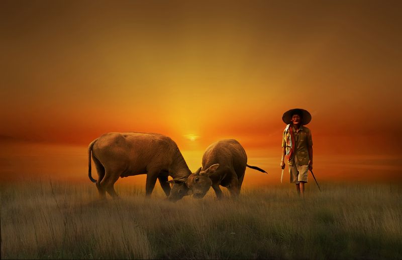 nature art фото превью