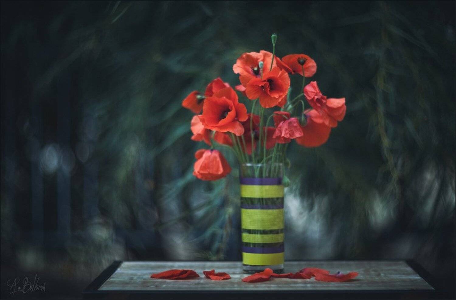 , Ариадна Белкина