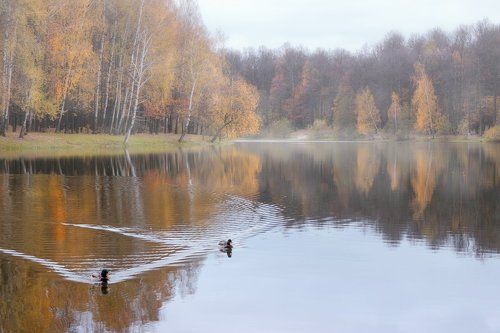 Осенний пруд