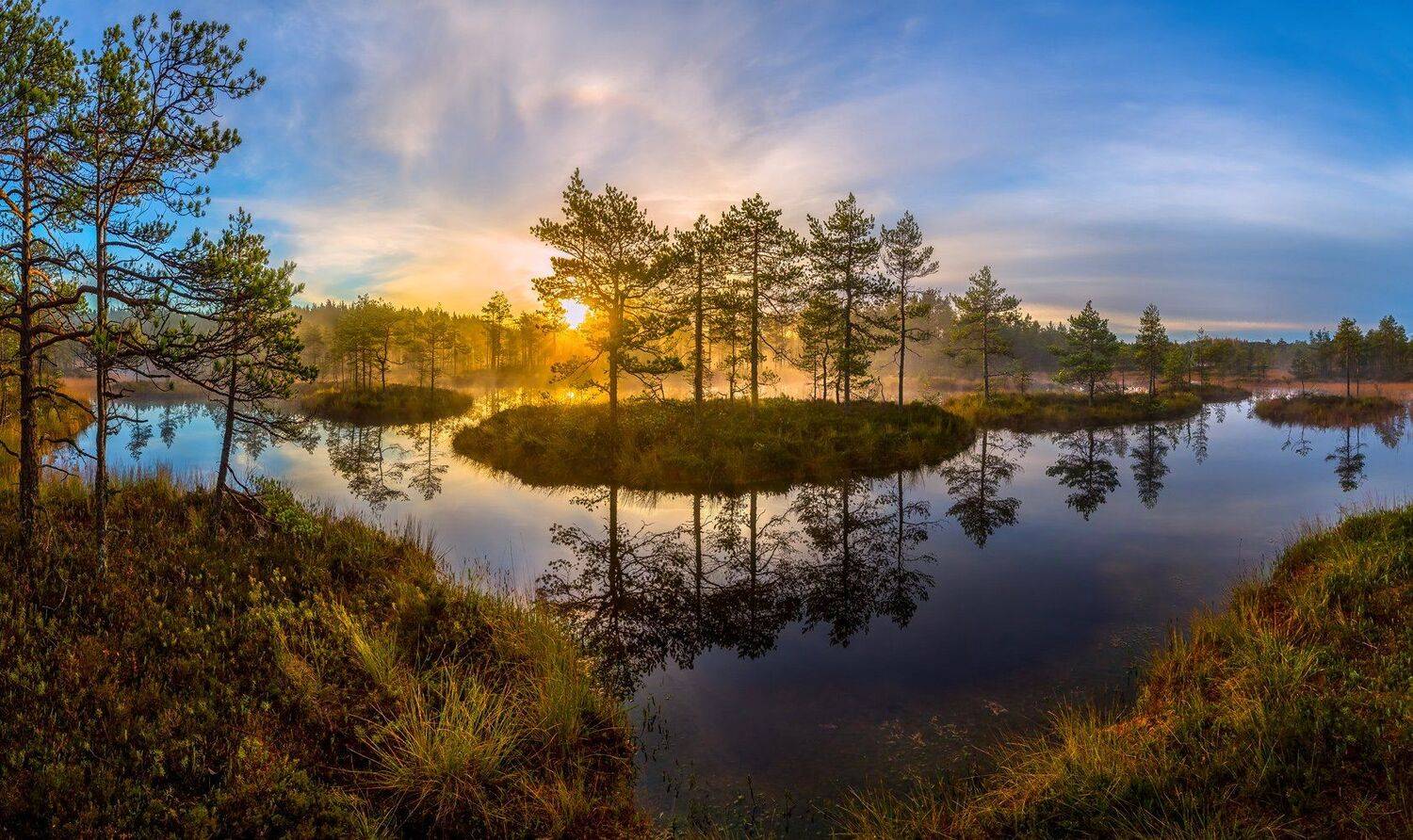 ленинградская область, болото, осень, фототур, сосны, рассвет, туман, солнце, отражение, остров, Лашков Фёдор