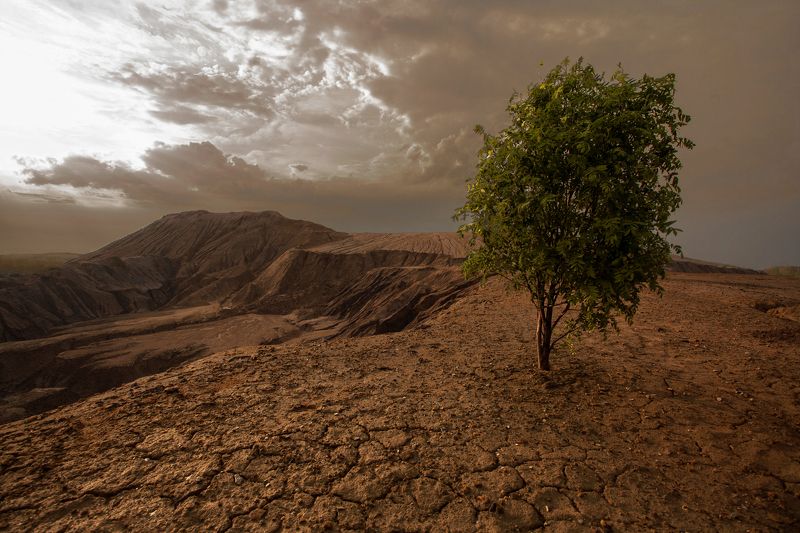 Третий день фото превью